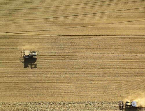 L’agricoltura è la nuova frontiera della lotta al riscaldamento globale